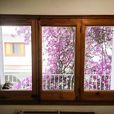 El Penell Apartament Llevant Vilamaniscle Esterno foto