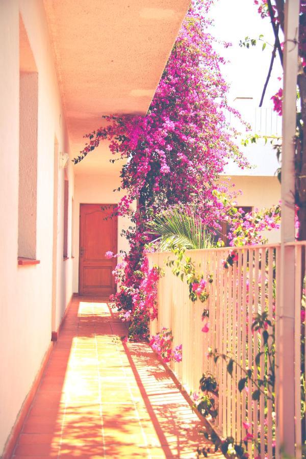 El Penell Apartament Llevant Vilamaniscle Esterno foto