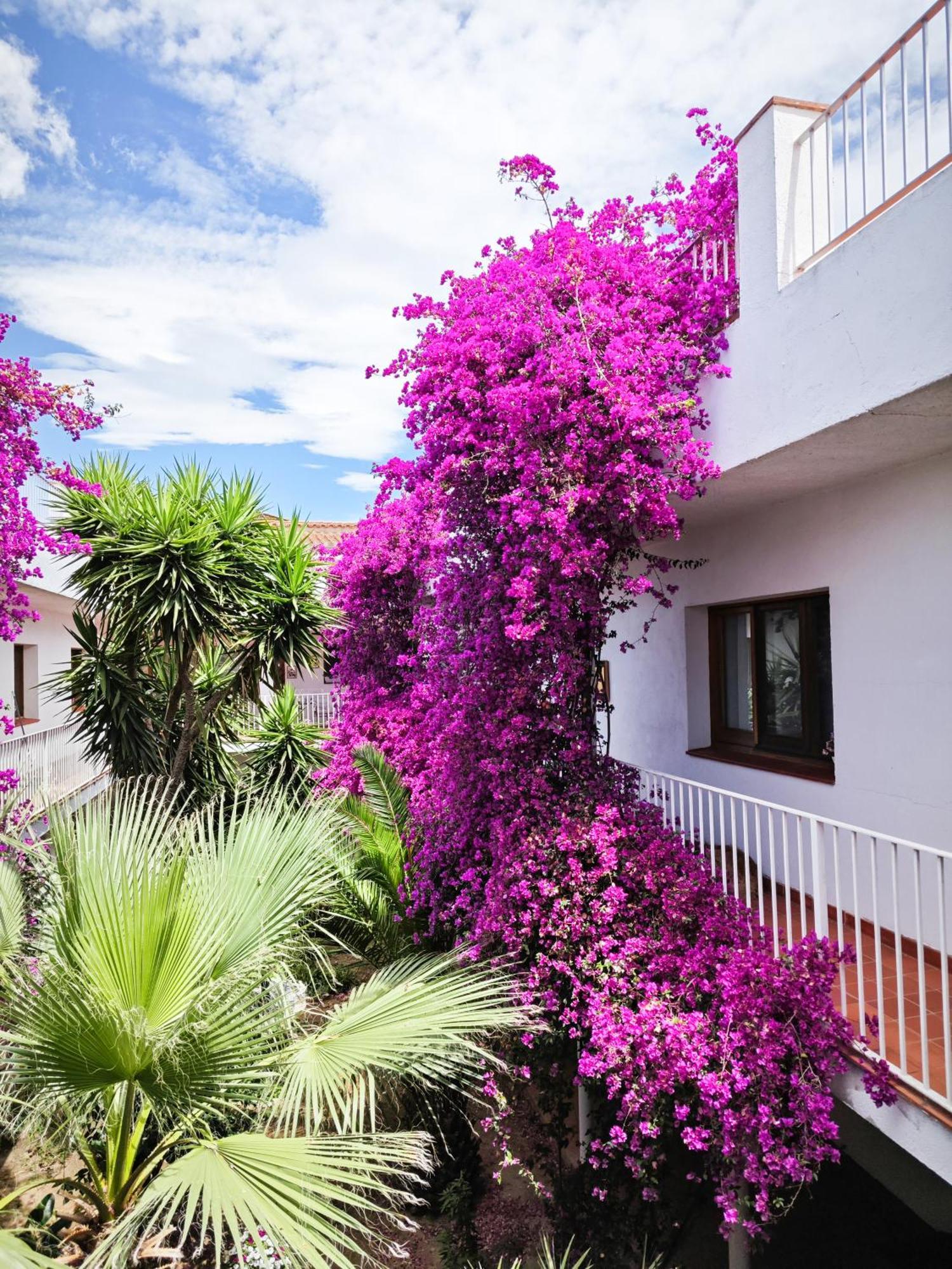 El Penell Apartament Llevant Vilamaniscle Esterno foto